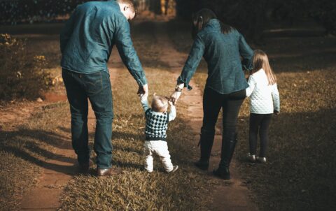 aile-dizimi