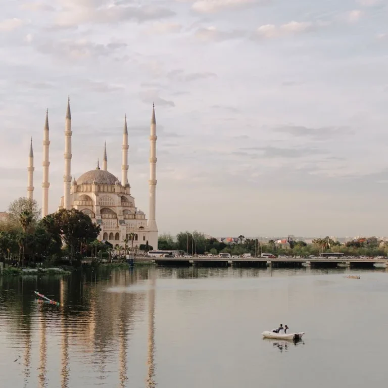 adana-aile-dizimi